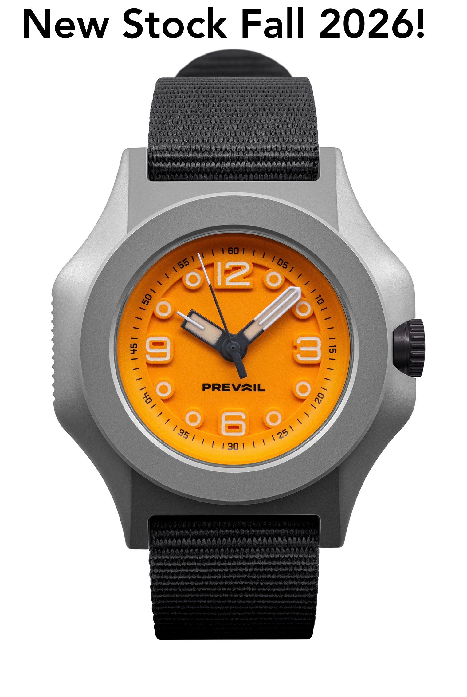 Onward Future Field Watch 