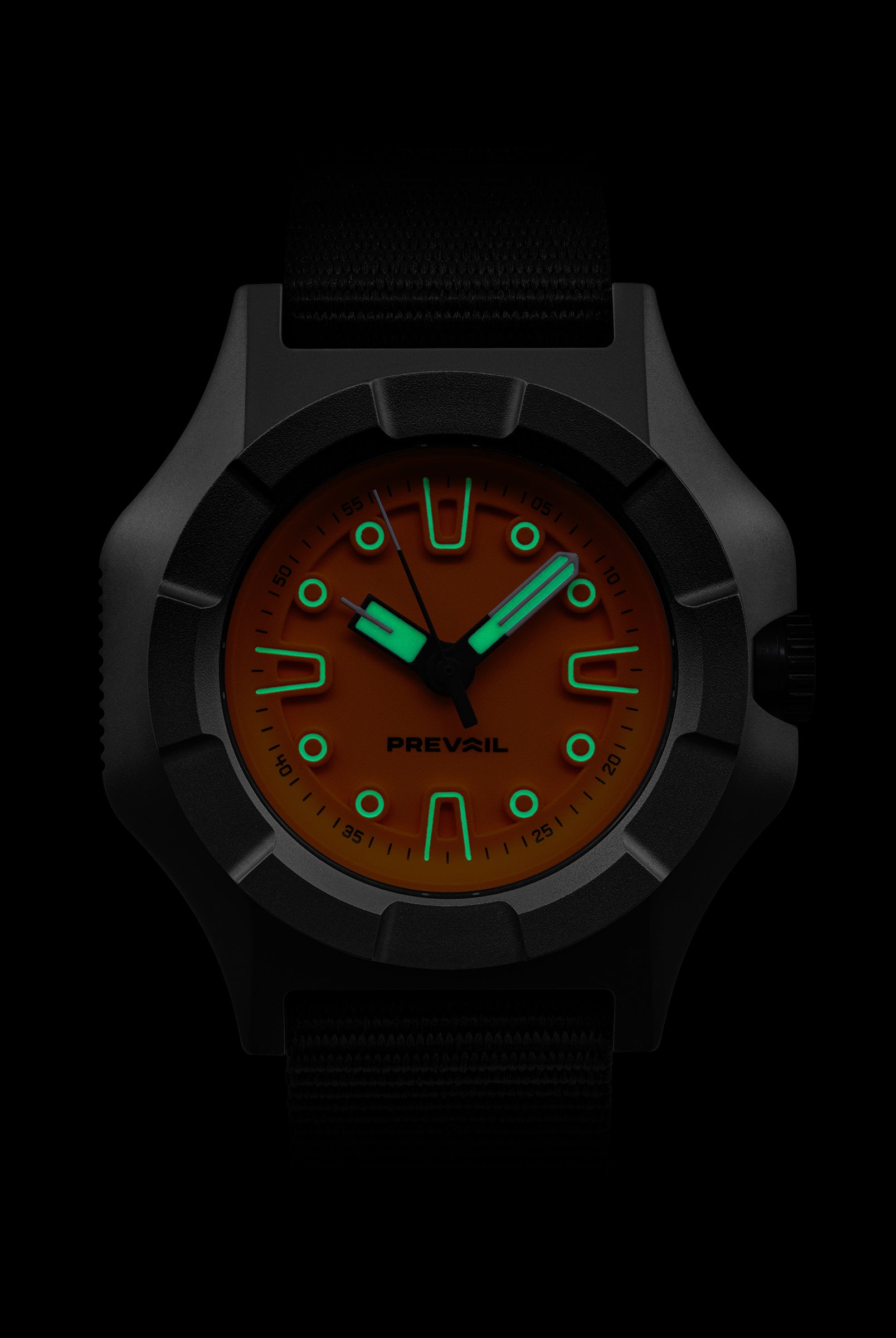 Onward Future Field Watch 